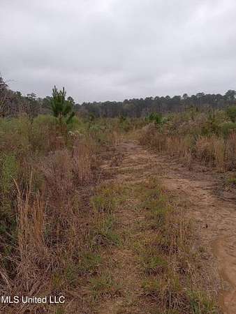 66.5 Acres of Land for Sale in Gloster, Mississippi