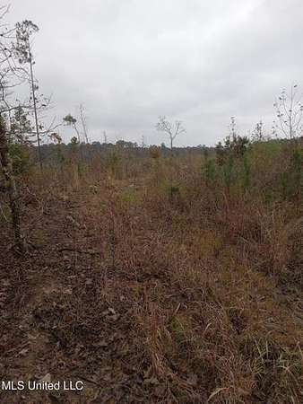 66.5 Acres of Land for Sale in Gloster, Mississippi
