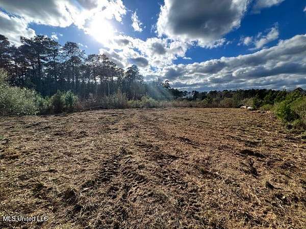 66.5 Acres of Land for Sale in Gloster, Mississippi