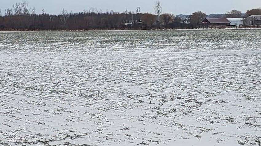 39.9 Acres of Agricultural Land for Sale in Evansville, Wisconsin