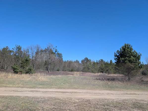 7.9 Acres of Land for Sale in Atlanta, Michigan