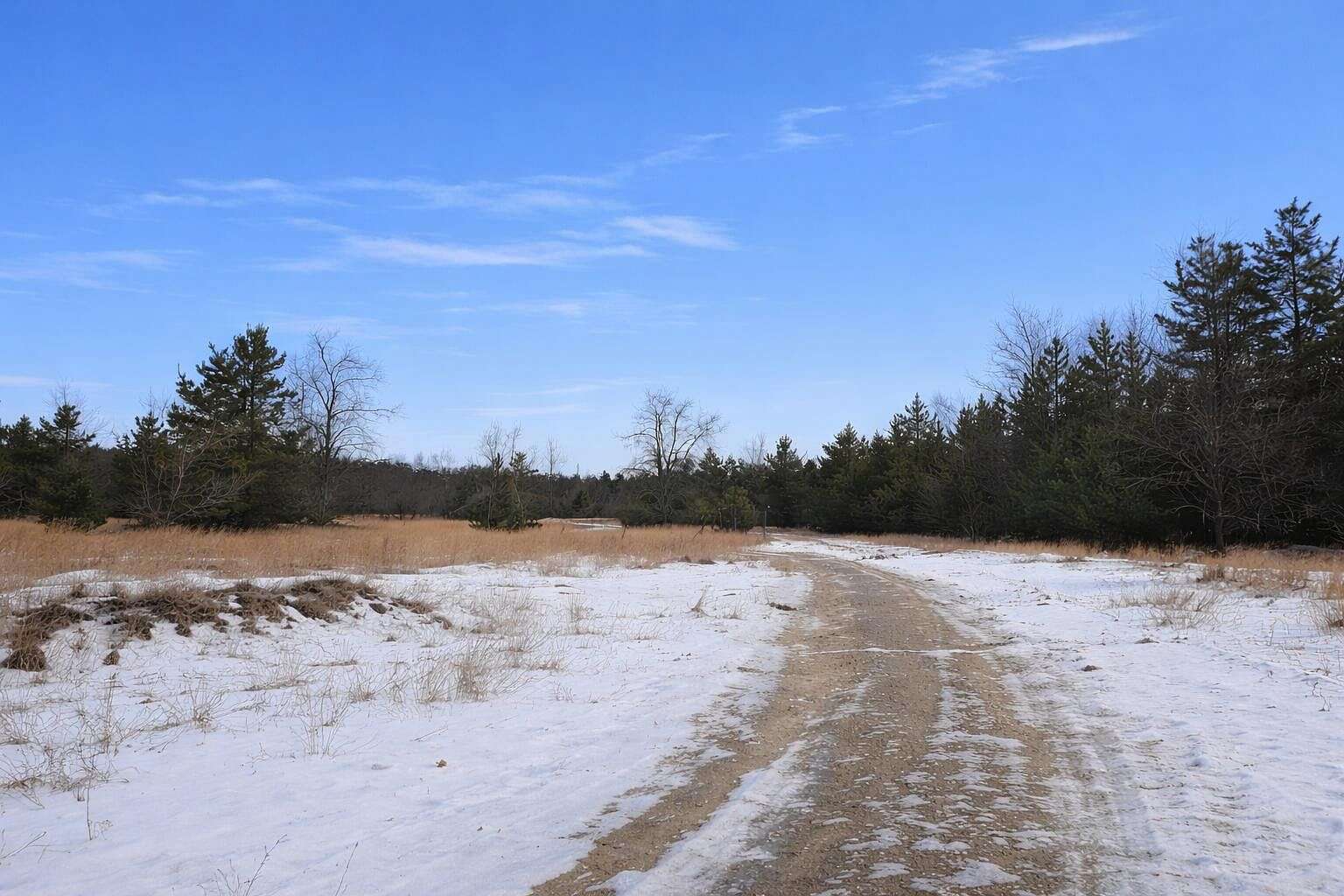 7.9 Acres of Land for Sale in Atlanta, Michigan