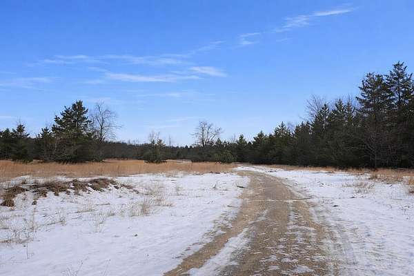 7.9 Acres of Land for Sale in Atlanta, Michigan