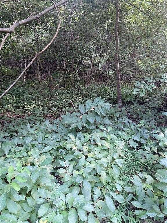 1.8 Acres of Residential Land for Sale in Newport News, Virginia