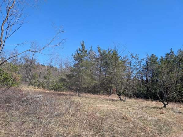 7.9 Acres of Land for Sale in Atlanta, Michigan