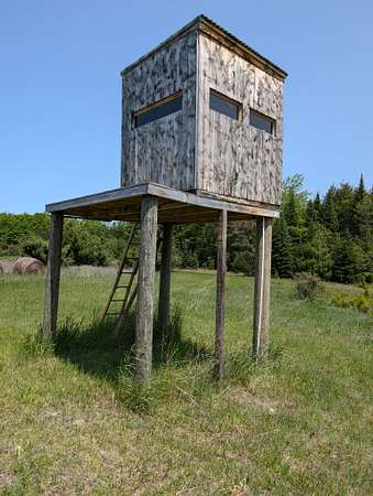 50 Acres of Land with Home for Sale in Atlanta, Michigan