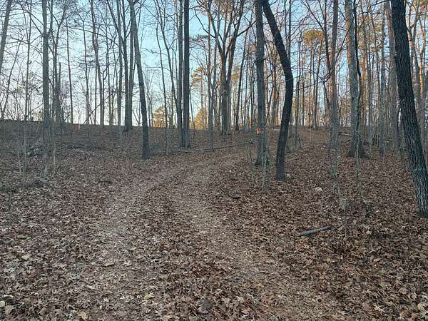 3 Acres of Residential Land for Sale in Hammondville, Alabama