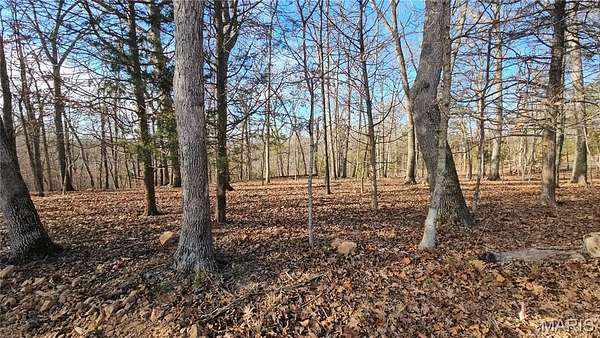 0.69 Acres of Residential Land for Sale in Charrette Township, Missouri