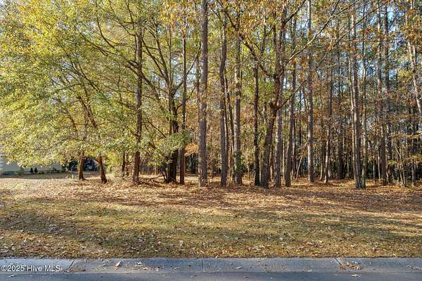 0.48 Acres of Residential Land for Sale in Wallace, North Carolina