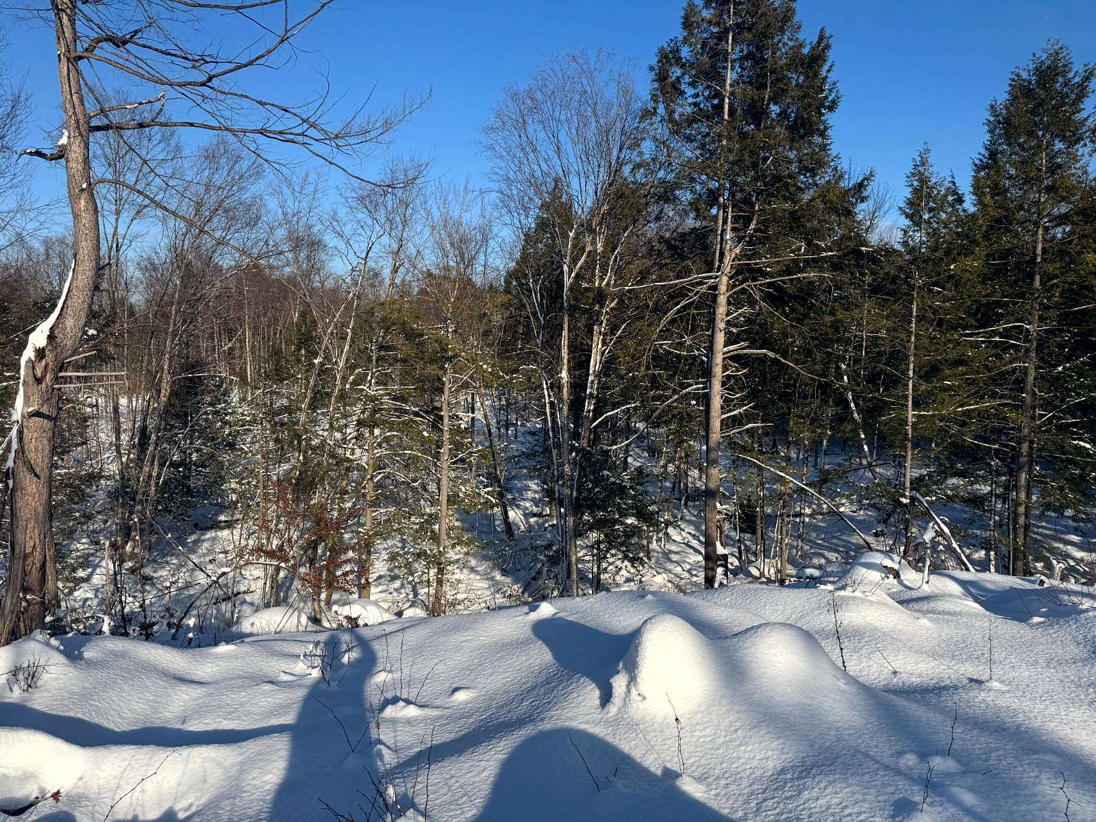 5.15 Acres of Land for Sale in Camden Town, New York