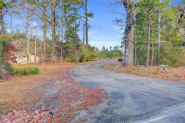15 Acres of Recreational Land for Sale in Ridgeville, South Carolina