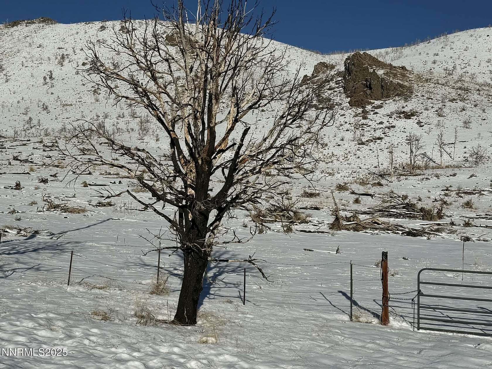 34.2 Acres of Land for Sale in Gardnerville, Nevada