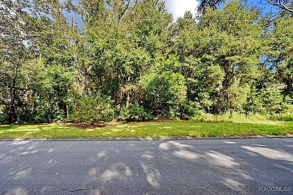 0.22 Acres of Residential Land for Sale in Inverness, Florida