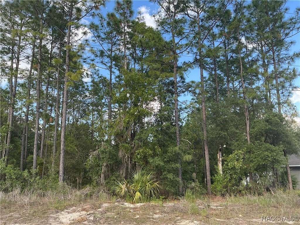 0.23 Acres of Residential Land for Sale in Citrus Springs, Florida