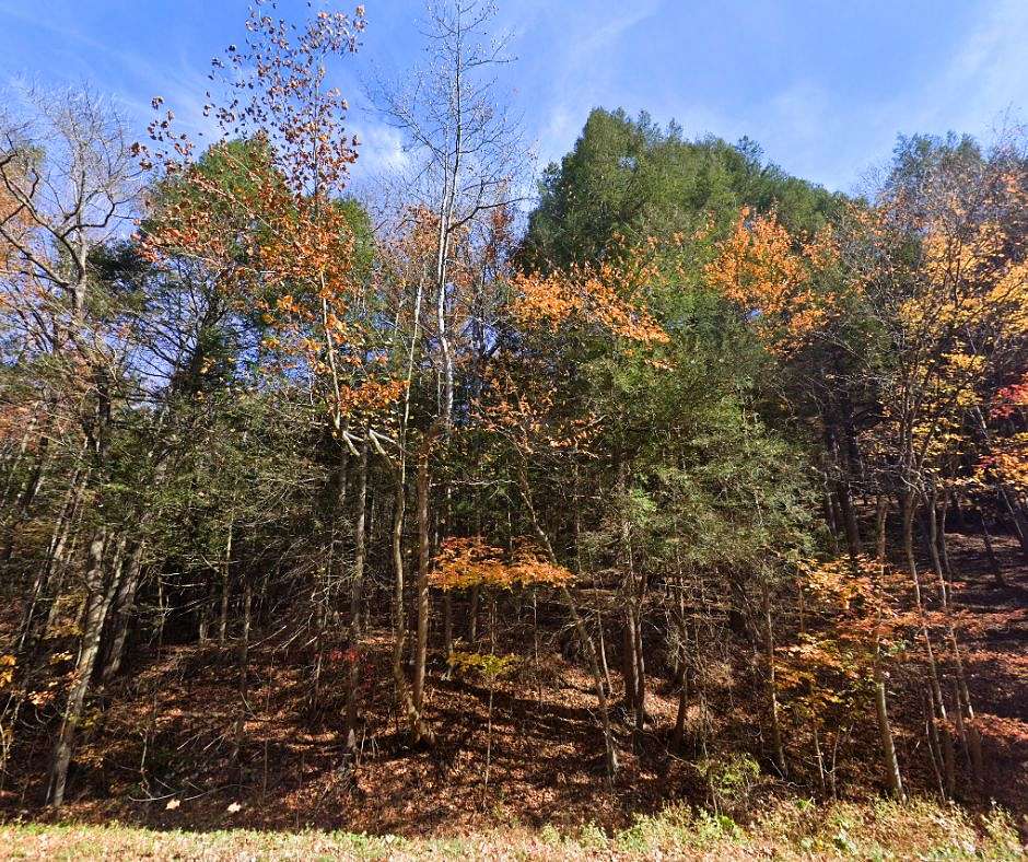5.58 Acres of Residential Land for Sale in Hedgesville, West Virginia