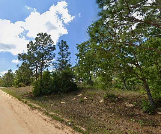 0.7 Acres of Residential Land for Sale in Keystone Heights, Florida