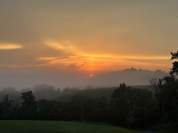 24 Acres of Land for Sale in Shelbyville, Tennessee