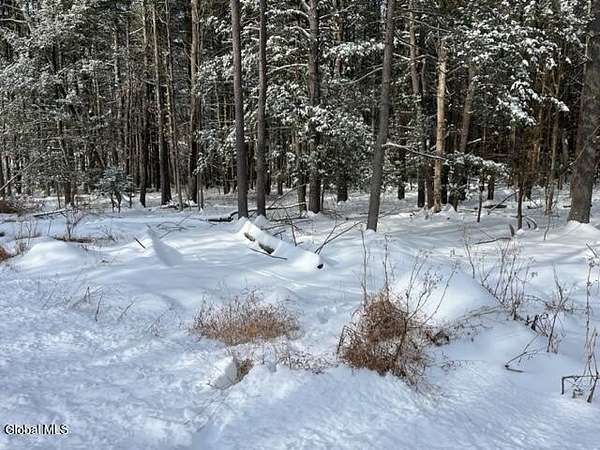 4.8 Acres of Residential Land for Sale in West Coxsackie, New York