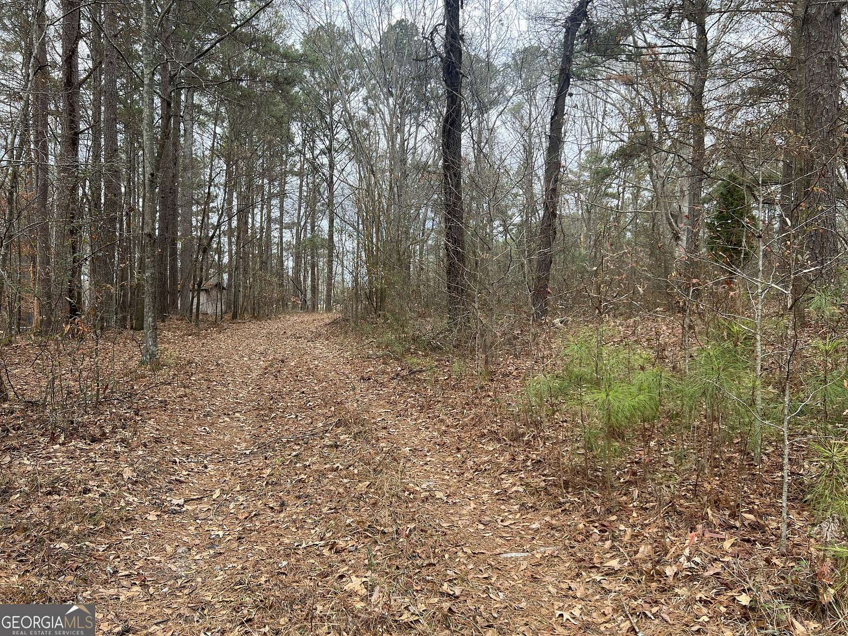 2 Acres of Residential Land for Sale in Villa Rica, Georgia