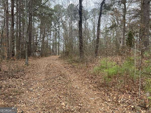 2 Acres of Residential Land for Sale in Villa Rica, Georgia