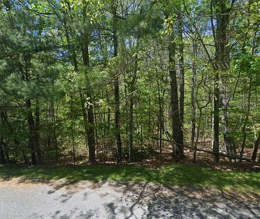 1 Acre of Land for Sale in Independence, Virginia