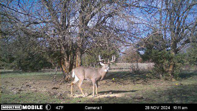 356 Acres of Recreational Land & Farm for Sale in Wamego, Kansas