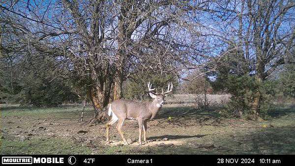 356 Acres of Recreational Land & Farm for Sale in Wamego, Kansas