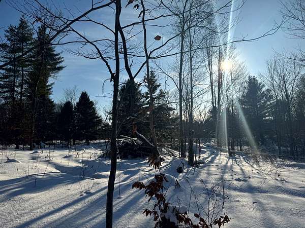 5.6 Acres of Land for Sale in Camden Town, New York