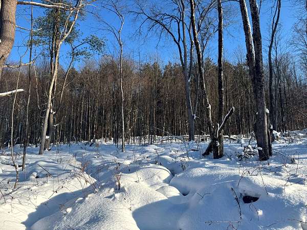 5 Acres of Land for Sale in Camden Town, New York