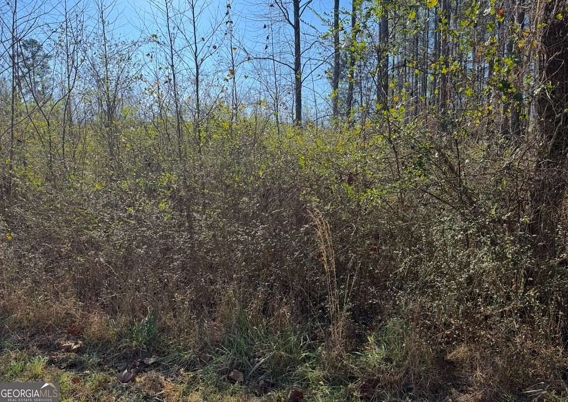 5.12 Acres of Residential Land for Sale in Kingston, Georgia