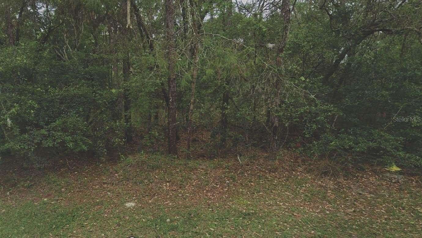 0.23 Acres of Residential Land for Sale in Satsuma, Florida