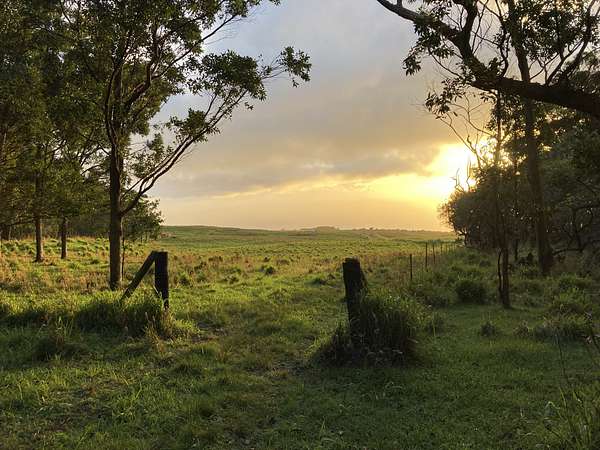 3 Acres of Land for Sale in Nāʻālehu, Hawaii