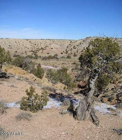 81.7 Acres of Recreational Land & Farm for Sale in St. Johns, Arizona