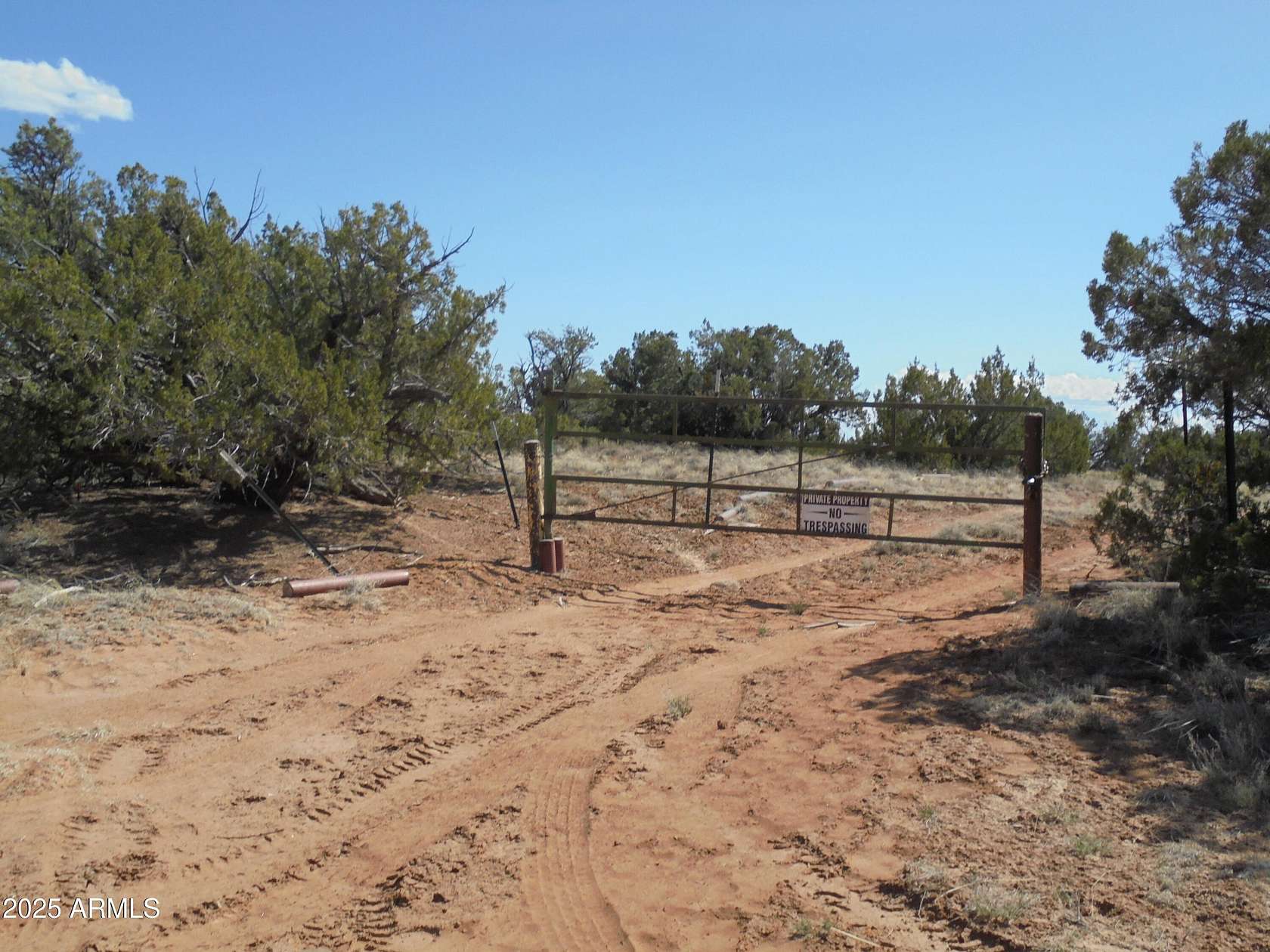 24.7 Acres of Land for Sale in St. Johns, Arizona
