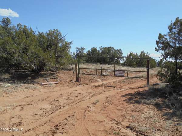 24.7 Acres of Land for Sale in St. Johns, Arizona