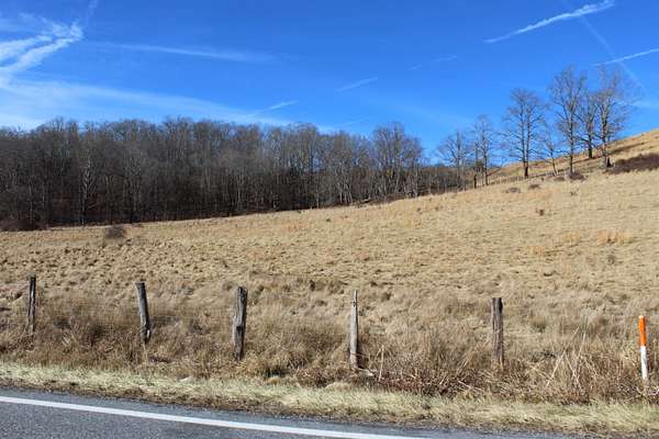 21.2 Acres of Agricultural Land for Sale in Monterey, Virginia