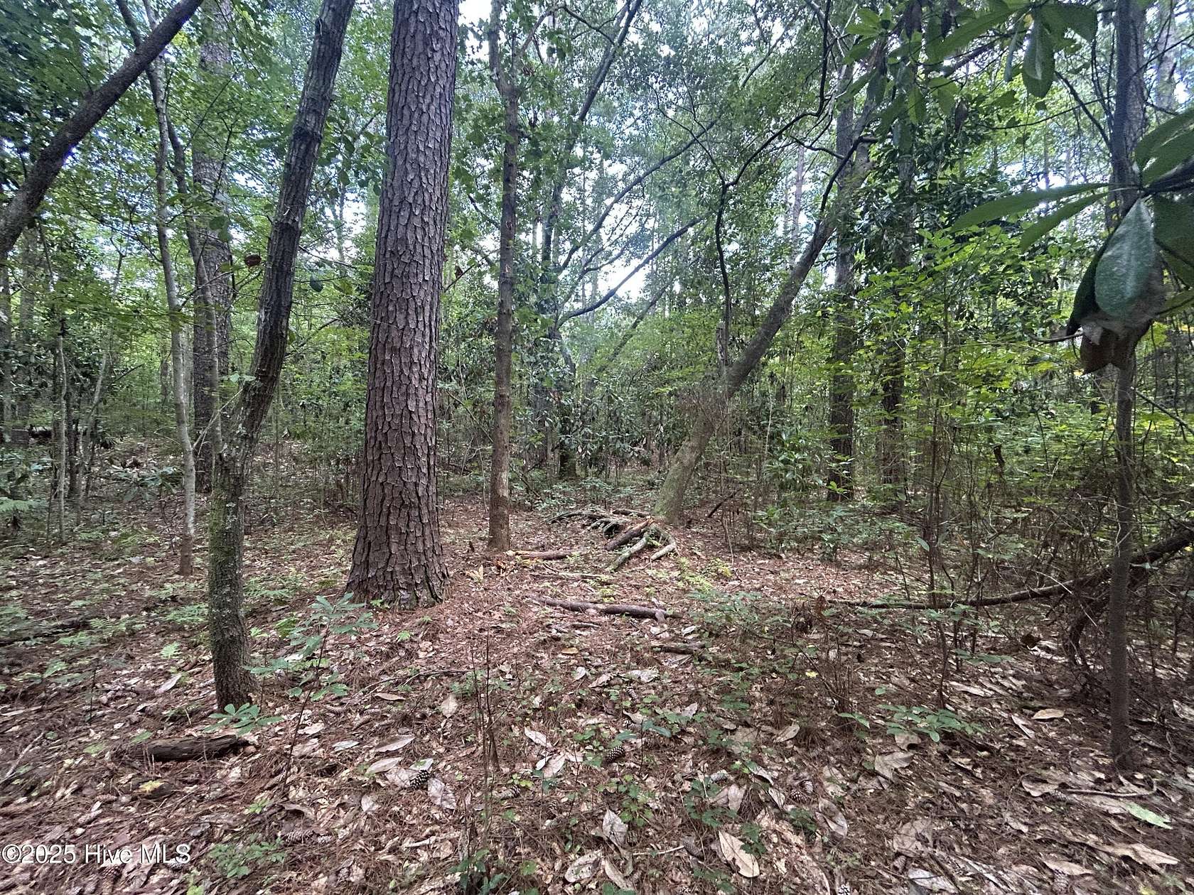 0.67 Acres of Residential Land for Sale in Castle Hayne, North Carolina