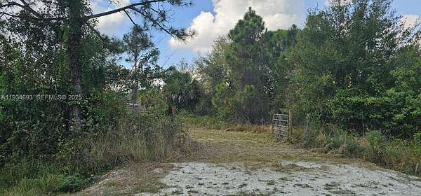 1.25 Acres of Residential Land for Sale in Clewiston, Florida