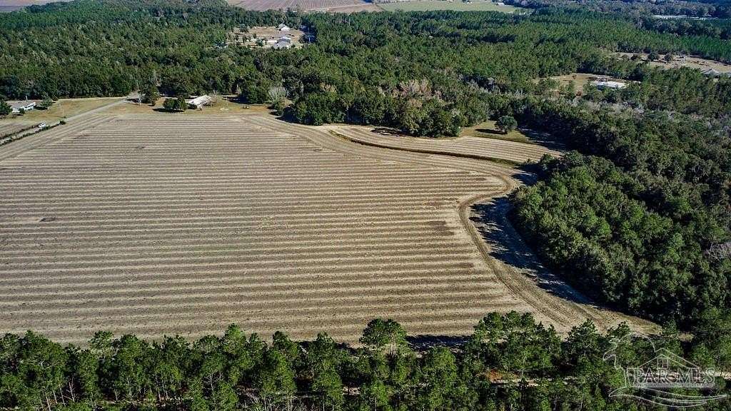 9.79 Acres of Residential Land for Sale in Pace, Florida