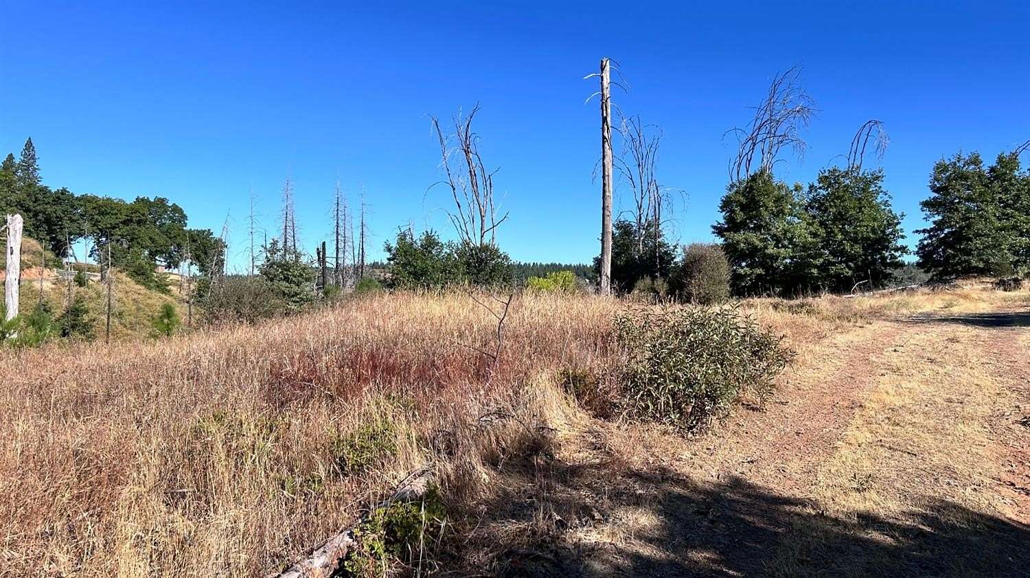 5 Acres of Residential Land for Sale in Mountain Ranch, California