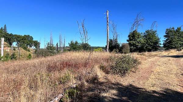 5 Acres of Residential Land for Sale in Mountain Ranch, California