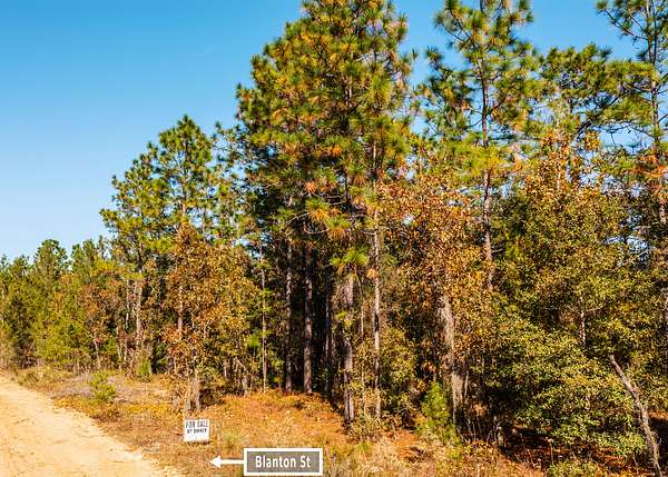 0.22 Acres of Residential Land for Sale in Interlachen, Florida