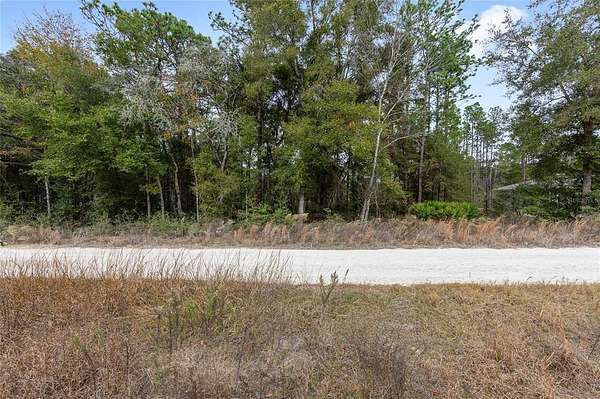 0.46 Acres of Residential Land for Sale in Ocala, Florida