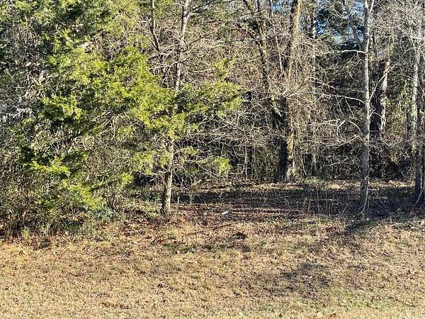 27.5 Acres of Mixed-Use Land for Sale in Shirley, Arkansas