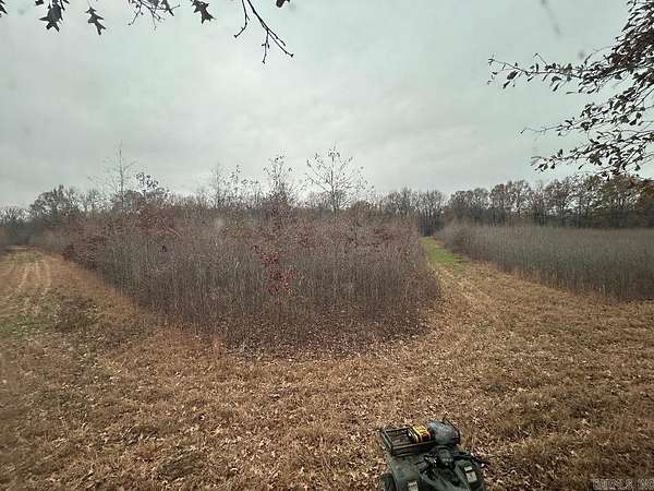 30 Acres of Recreational Land for Sale in Poplar Grove, Arkansas