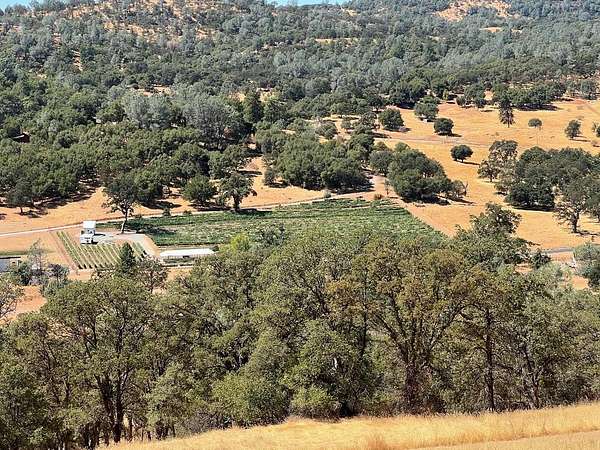 21.1 Acres of Agricultural Land for Sale in Angels Camp, California