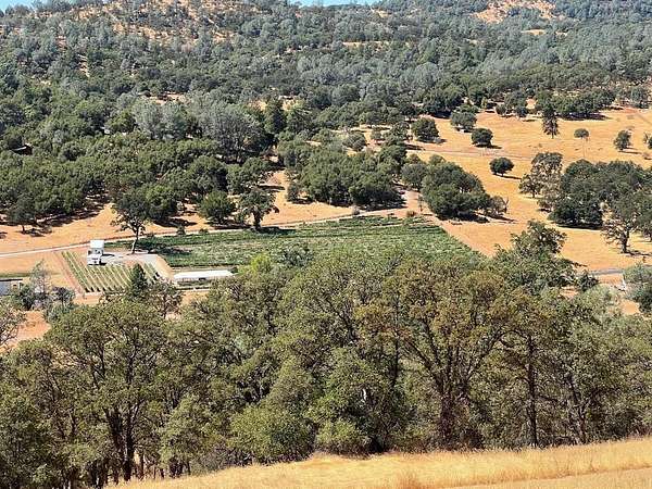 21.1 Acres of Agricultural & Residential Land for Sale in Angels Camp, California