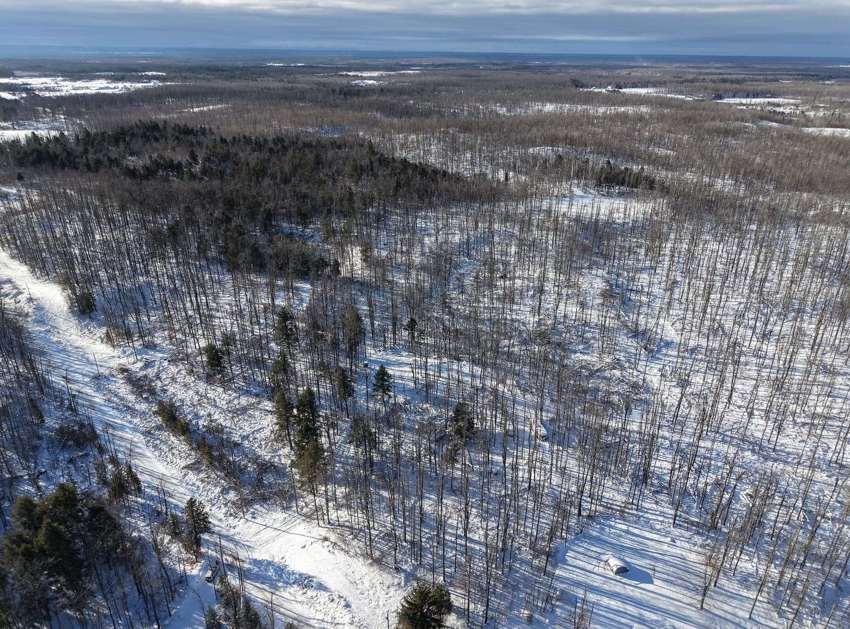 9.82 Acres of Residential Land for Sale in Atlanta, Michigan