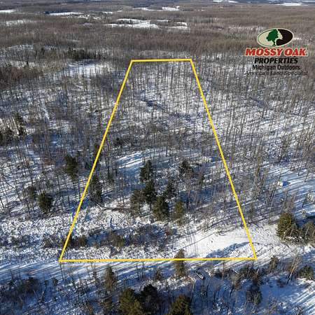 9.82 Acres of Residential Land for Sale in Atlanta, Michigan