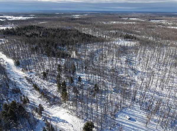 9.82 Acres of Residential Land for Sale in Atlanta, Michigan